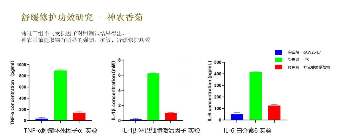 Shennong chrysanthemum soothing-repair efficacy test comparison