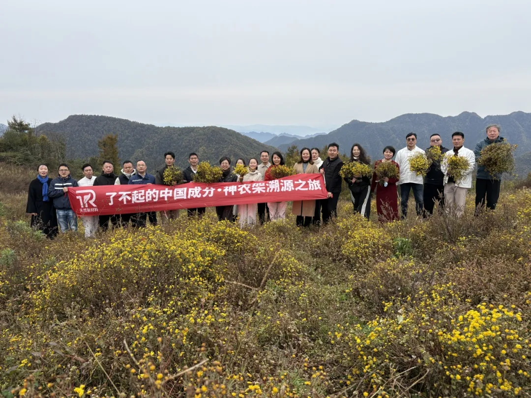 Image 1 of brand partners participating in activities