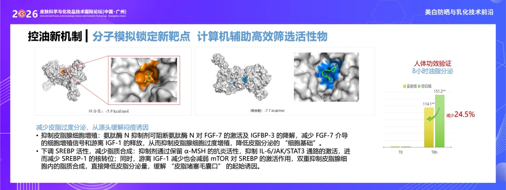 控油新机制技术图：分子模拟锁定氨肽酶 N 靶点，抑制皮脂腺细胞增殖与脂质合成，8 小时油脂分泌减少 24.5%