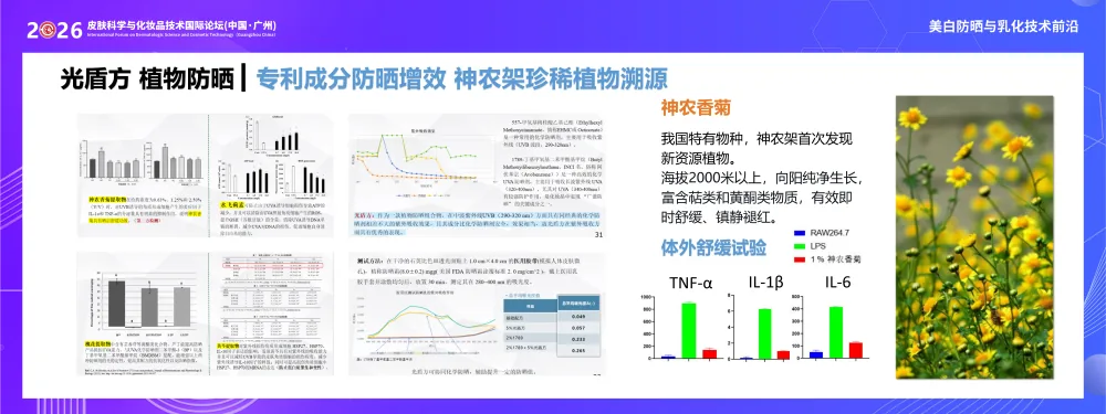 光盾方植物防晒技术图：专利成分防晒增效，神农香菊原料溯源与体外舒缓试验数据（TNF-α、IL-1β、IL-6）