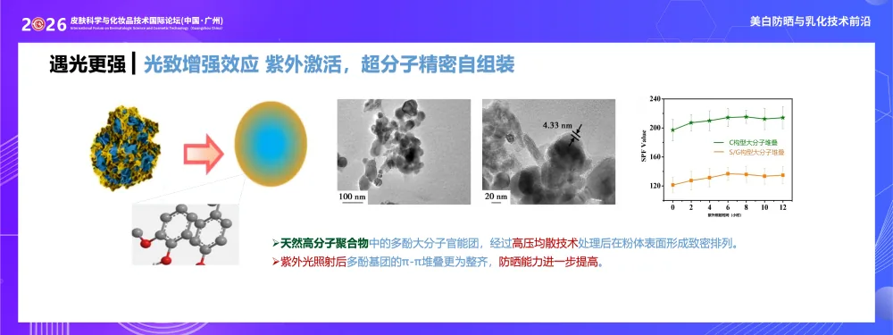 光致增强效应技术图：紫外激活后超分子精密自组装，多酚基团 π-π 堆叠更整齐，防晒能力提升