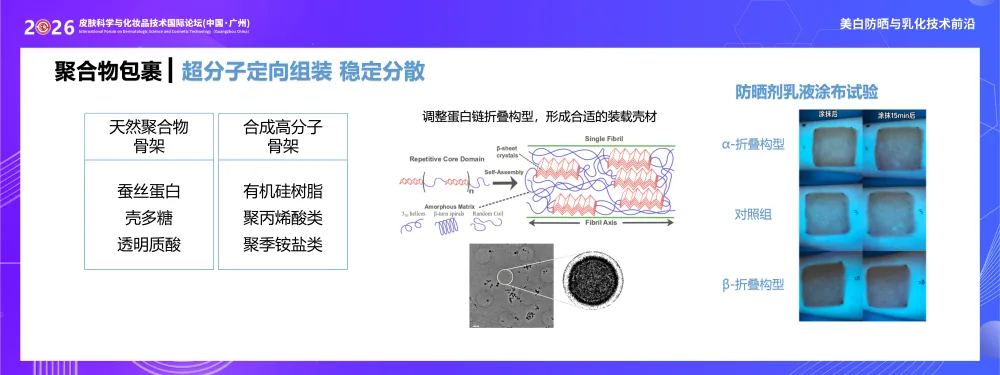 超分子定向组装技术图：天然与合成高分子骨架构建装载壳材，防晒乳涂布试验对比不同折叠构型