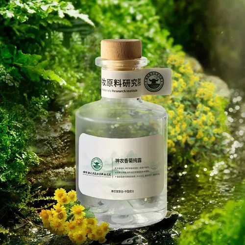 Shennong chrysanthemum hydrosol